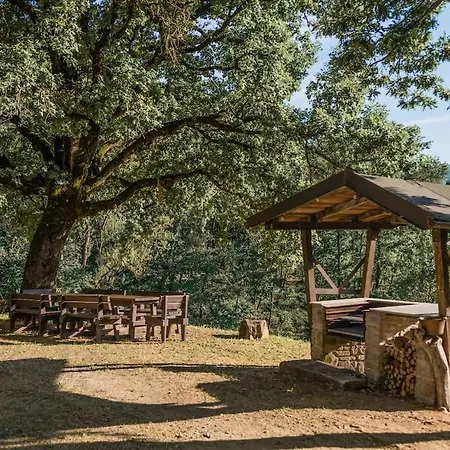 Holiday home Abissinia, Gioiello Nel Bosco Poiano