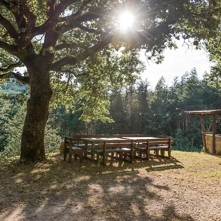 Abissinia, Gioiello Nel Bosco Poiano