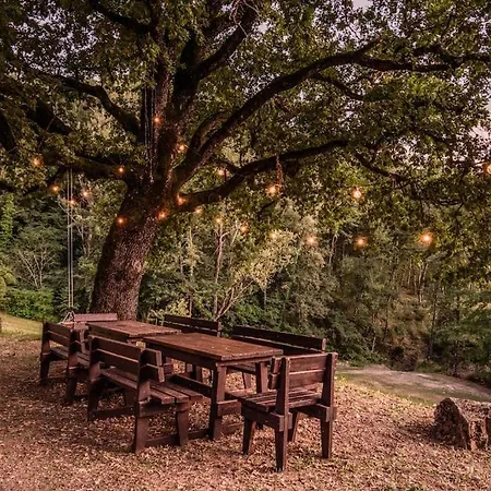 Abissinia, Gioiello Nel Bosco * Poiano