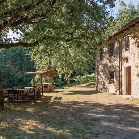 Abissinia, Gioiello Nel Bosco * Poiano